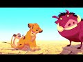 The Lion King I Ve Had The Time Of My Life Music Video