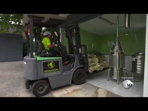 Como é feito: óleo de capim-limão