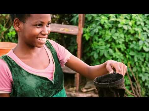 Coffee Vendors Madagascar PM Small