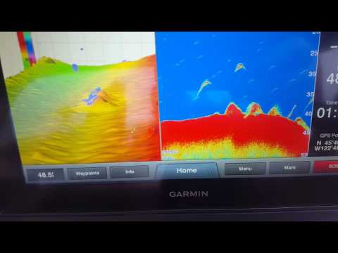 Garmin Panoptix RealVu historical test