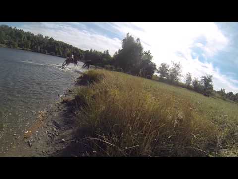 Girls with horses near the lake. Metal Detecting and Treasure Hunting.