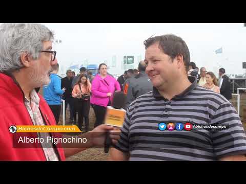 Alberto Pignochino, productor agrícola de Camilo Aldao, Córdoba