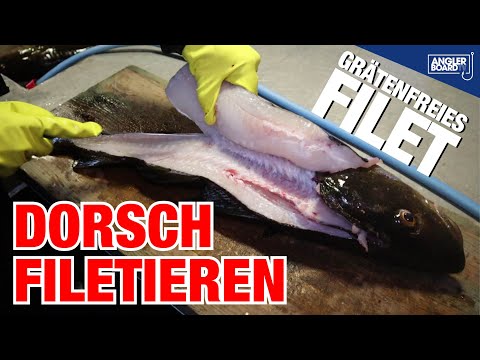 How to fillet cod | How to fillet fish correctly | How to do it boneless | Cod fillet