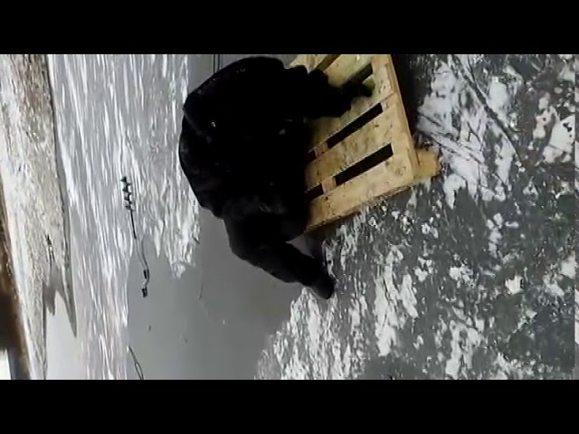 На пруду возле села Большое Фролово рыбак провалился под лед (+ВИДЕО)