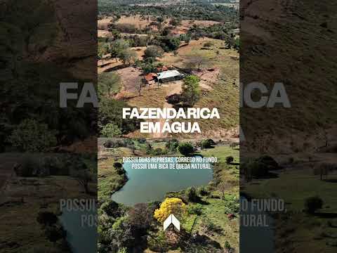 FAZENDA À VENDA | 37,5 ALQUEIRES DE SOJA NA GO-060 🌾 São Luís de Montes Belos!