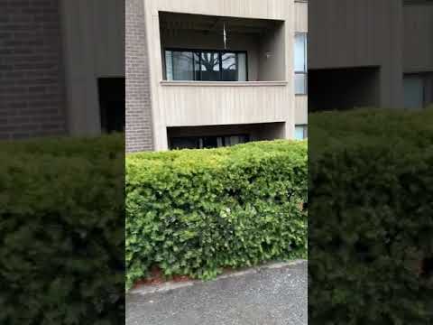 Shrewsbury green drive