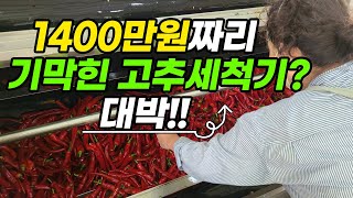고추세척하는 신기한 방법 이걸로 했더니 대박 깨끗!! 기막힌 고추세척기 고추농사 고추재배