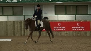 preview picture of video 'Jazz'n'Dave's Prelim 19 at Hartpury Arena'