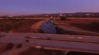 Close call Bird strike With a drone,quadcopter