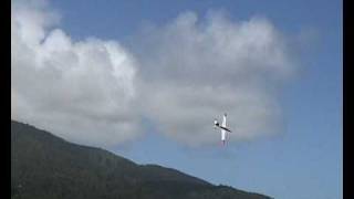 preview picture of video 'Mark Landing Lane's Jart at Raglan, 19 Dec 2009'