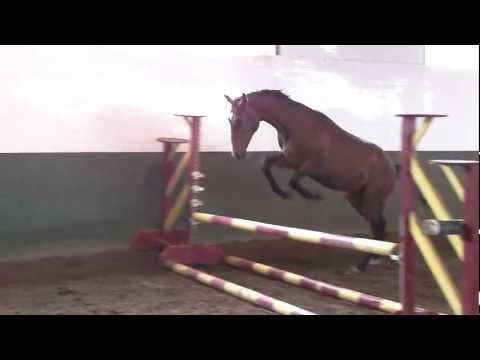 Guinness H, Freejumping #1