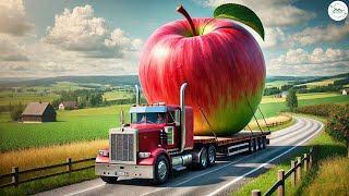 American farmers harvest millions of tons of apples each year in the US | Agricultural Documentary