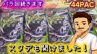 バラなら買える！いや、バラしかない！