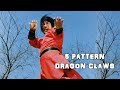 Wu Tang Collection Trailer Five Pattern Dragon Claws