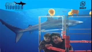 DIA 3 Expo Tiburon175