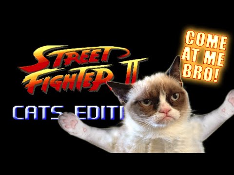 Street Fighter: Cats Edition - Marca Blanca