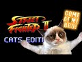 Street Fighter: Cats Edition - Marca Blanca