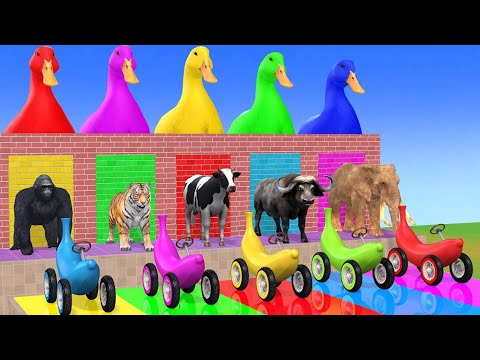 Long Slide Game With Cow Elephant Gorilla Hippopotamus Tiger 3d Animal Game Funny 3d Animals 