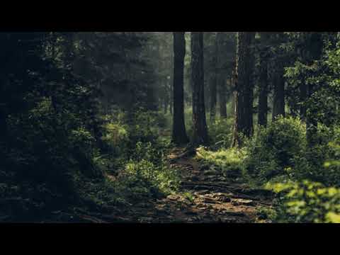 Мавка - Authentix  (slowed-reverb)