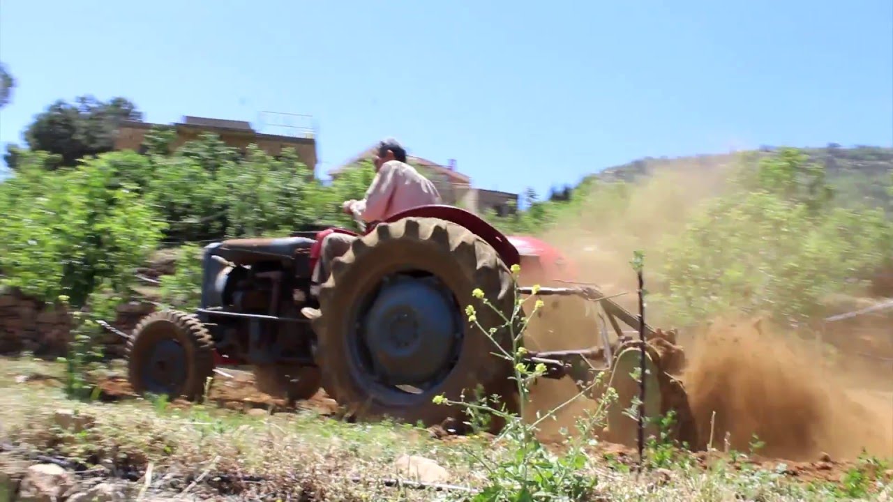 Travel to Lebanon - Qartaba and Afqa