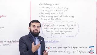 Class 9 - Biology - Chapter 7 - Lecture 1 Introduction of Bioenergetics- Allied Schools