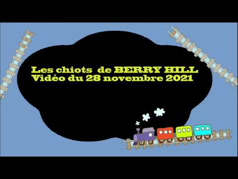 BERRY HILL 28112021