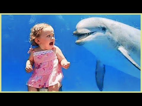 Funniest Baby Videos of the Week - Try Not To Laugh