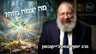 מה יצמח מזה?- הרב יוסף יצחק ג'ייקובסון