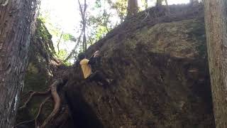 Video thumbnail of オーク, 二段 (7c). 鳳来 (Hourai)