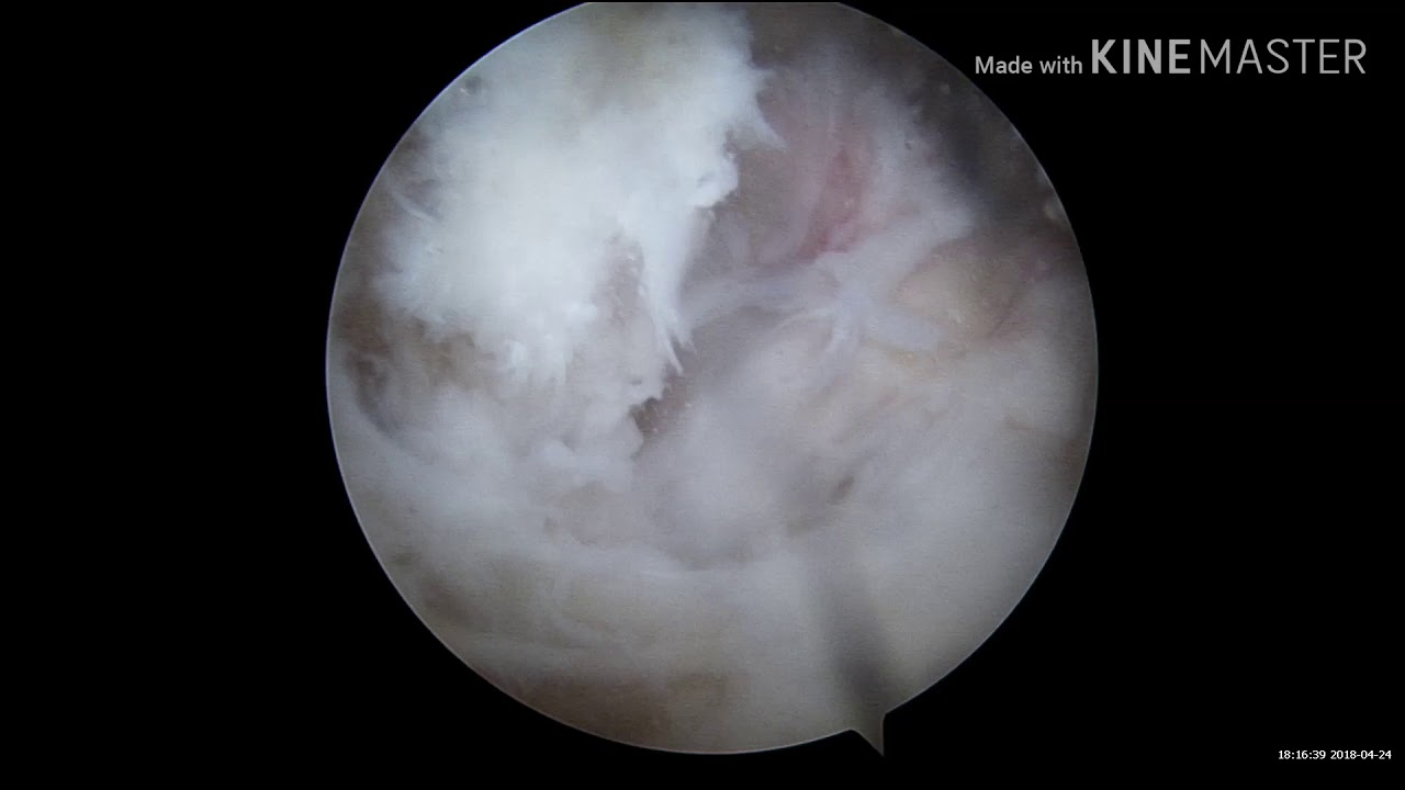 Edgar A. Pulido J.-8