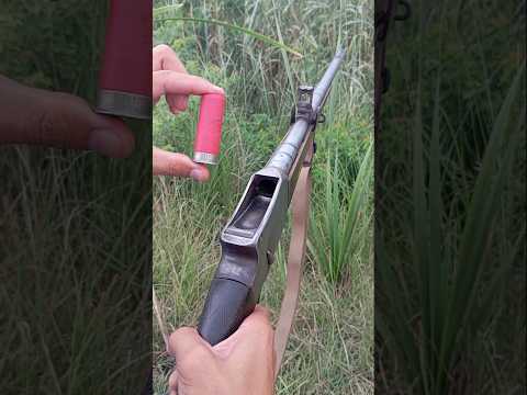 Antique Shotgun 18th Century British Masterpiece | 18th Century British Shotgun A Legendary Firearm