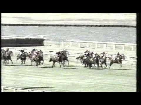 1991 Tattersalls Stakes - Canny Lad