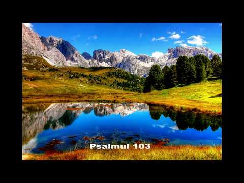 Psalmul 103 -  Binecuvanta, suflete, pe Domnul si nu uita niciuna din binefacerile Lui!