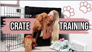 How We Crate Trained Our Puppy | 10 Easy Steps