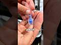 What Realistic Jellyfish Look Like