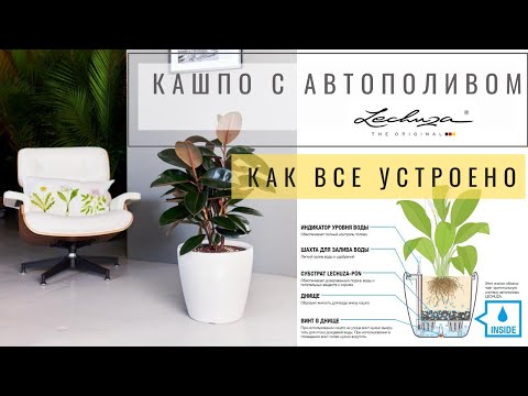 кашпо с системой автополива Lechuza CLASSICO и QUADRO со съемным горшком