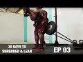 30 Days To Lean & Shredded | Flexing a Barbell