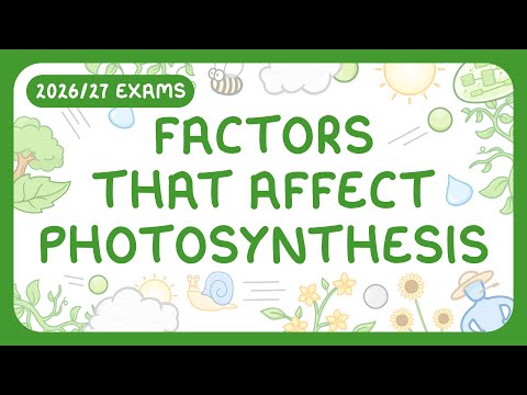 GCSE Biology - Factors Affecting the Rate of Photosynthesis | Limiting Factor Graphs (2026/27 exams)