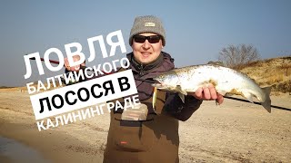 Рыбалка в россии калининграде 2020