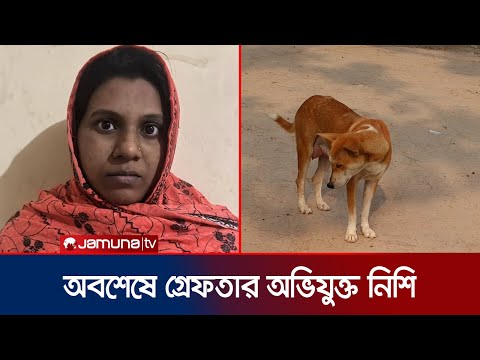 পাবনায় ৮ কুকুরছানা হত্যার ঘটনায় অভিযুক্ত নিশি রহমান গ্রেফতার | Pabna Puppy Incident | Jamuna TV