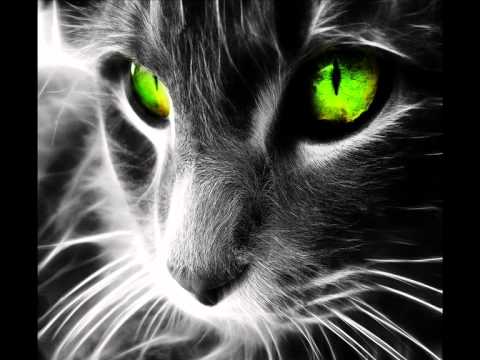 Heatbeat vs Gotye - I Used to know Arganda - [ Mariano Di Pietro Mashup ]