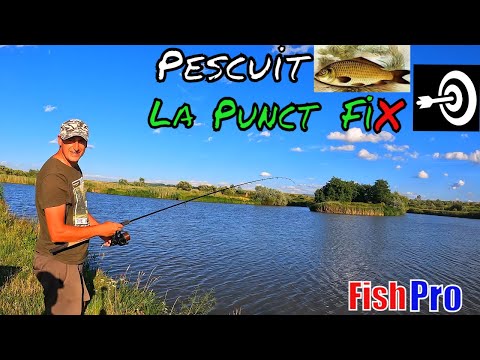 Ziua Plăticii 2024 pe Lacul Sâncraiu Cluj și Capturi de Neuitat #Pescuit2024 #Feeder #Carpfishing