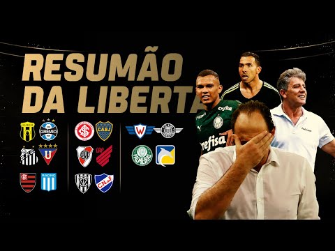 Dois do Fla podem sair após eliminação, Santos x Grêmio, e Palmeiras voando! Resumo da Liberta