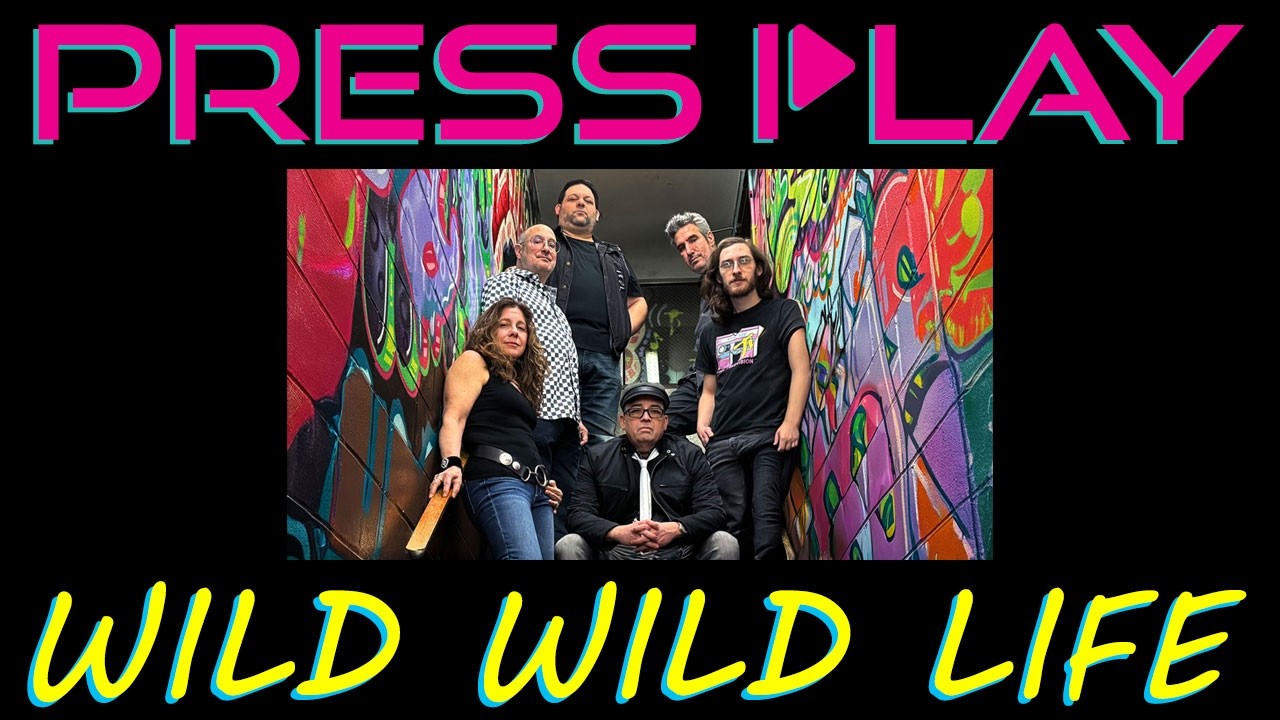 Promotional video thumbnail 3 for Press Play 80's band