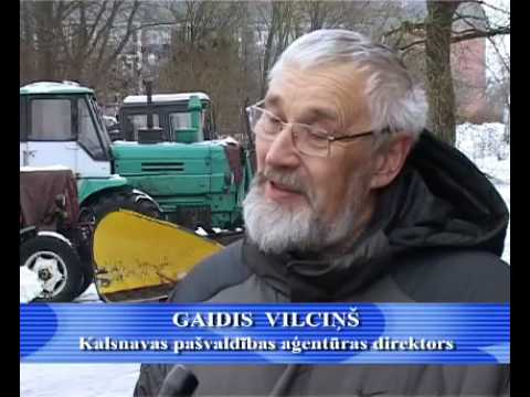 Mētriena, Ļaudona, Kalsnava