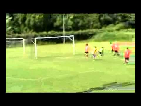 Highlights Afforese - Leone