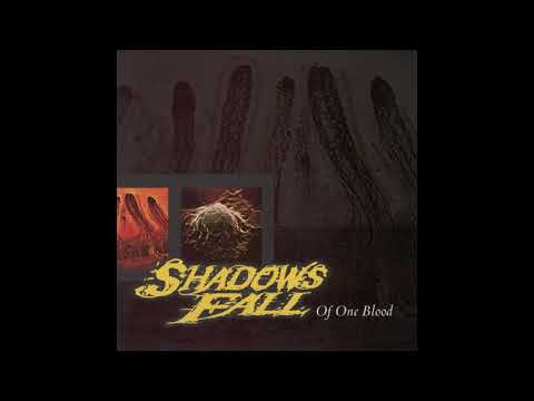 To Ashes video thumbnail