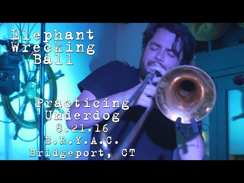 Elephant Wrecking Ball: Practicing Underdog [2-Cam/4K] 2016-08-21 - BRYAC; Bridgeport, CT