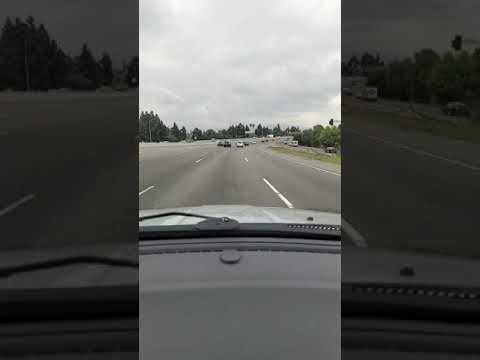 Fakatokanga- Ko Seinimili 'ofefine lahi Lusefa ke mo Tilila Siola'a mo Fiapo ki Moana Fellows  NZ