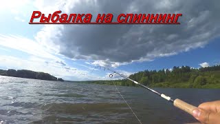 Чистые пруды отчеты о рыбалке